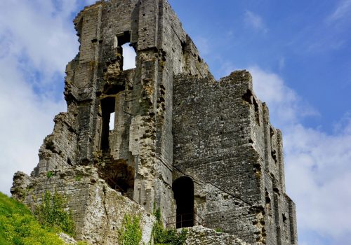 peter-burdon-YSoXELR396c-unsplash peter-burdon-YSoXELR396c-unsplash